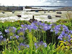 129 Ile de Batz_000047